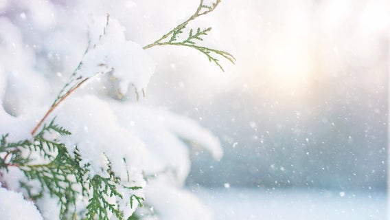 Christmas winter storm timeline: When to expect snow, arctic wind chills in Metro Detroit