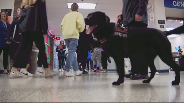 Oakland County high school deploys 'elite detection K9' to sniff out weapons