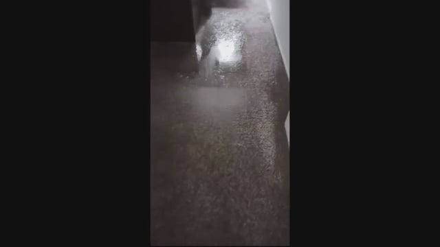 Riverview apartment residents living in hotel after flooding in numerous buildings