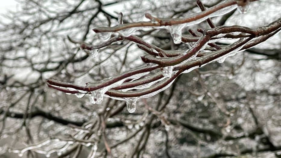 FILE - Ice glazes tree limbs in Myersville, Maryland on Dec. 15, 2022. (Photo by Ricky Carioti/The Washington Post via Getty Images)