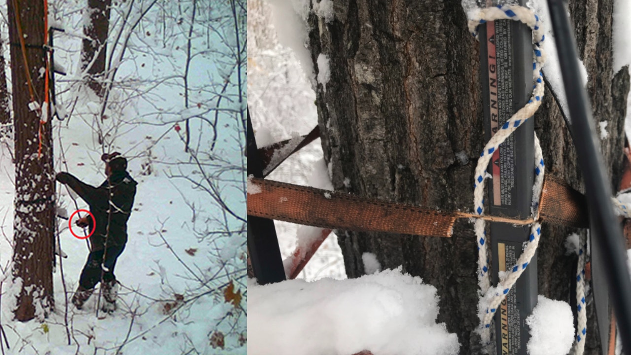 Washtenaw County man sabotages hunter's tree stand, harasses him over UP hunting spot - Vimarsana News