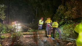 Bomb Cyclone Watch: Young California child dies after tree falls onto home