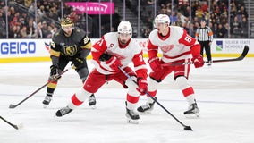 Red Wings snap 3-game skid with 3-2 win over Golden Knights