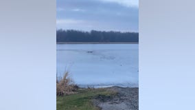 Man, DNR conservation officer treated for hypothermia after ice rescue on Michigan lake