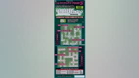 Wayne County woman wins $300,000 from Michigan Lottery crossword scratch-off ticket