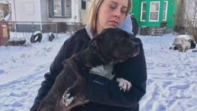 Dogs must be brought indoors when winter weather sets in, says pet advocate