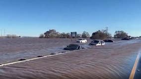 Wildest weather videos from California's series of storms