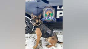 Lansing police K-9 tracks armed robber 1 1/2 miles to his home