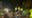 Bomb Cyclone Watch: Young California child dies after tree falls onto home
