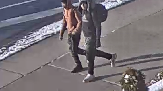 Detroit police seek 2 suspects involved in an armed carjacking on the city's northwest side