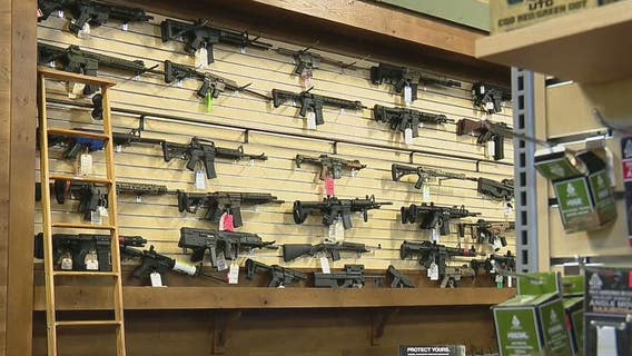 Whitmer to talk 'common sense' gun issues in Wednesday's State of the State