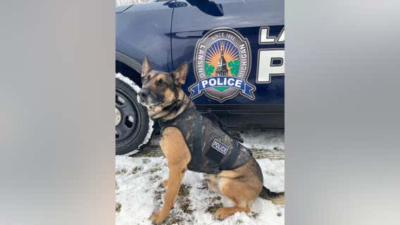Lansing police K-9 tracks armed robber 1 1/2 miles to his home
