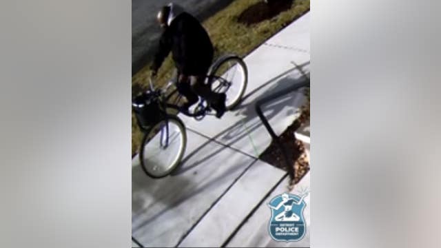 Detroit bicycle thief wanted