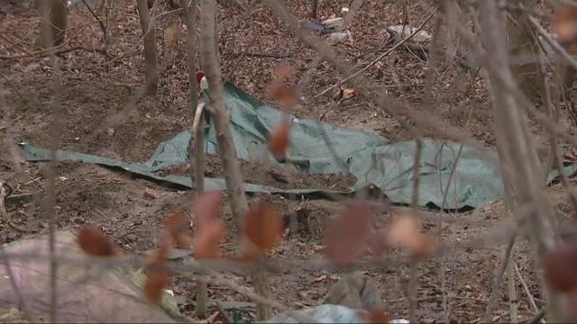 Body found in shallow grave with hand sticking out was female on Detroit's east side