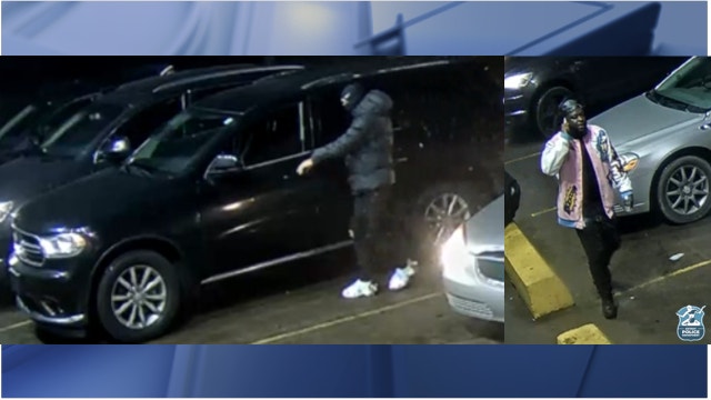 Suspects punch, kick man in head and steal his dog during Detroit robbery