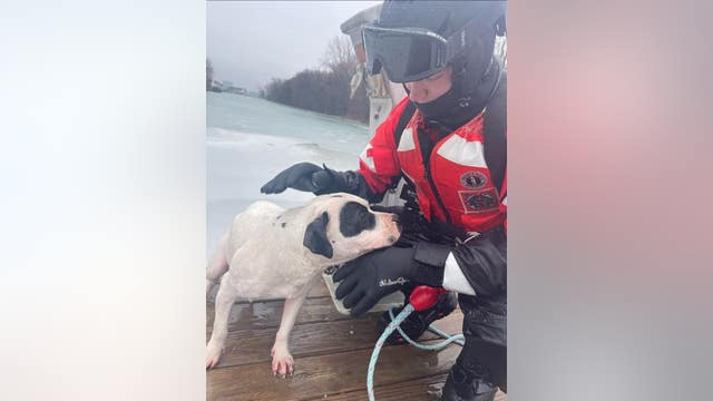 Coast Guard saves dog that fell through ice in Detroit River