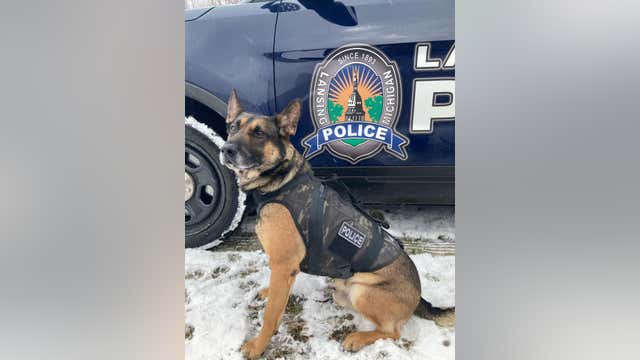 Lansing police K-9 tracks armed robber 1 1/2 miles to his home