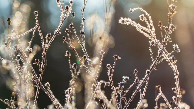 Metro Detroit weather: More seasonal temperatures return with on-and-off snow showers Thursday