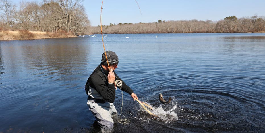 Great Lakes safe fish guidelines: How much fish you can safely eat per month