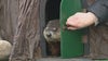 Woody the Woodchuck predicts spring will come early this year for Michigan
