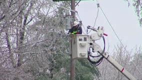 DTE warns of more power outages during Friday's winter storm in Metro Detroit