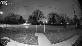 Serial Peeping Tom arrested, used ladder to get over fences and look into windows