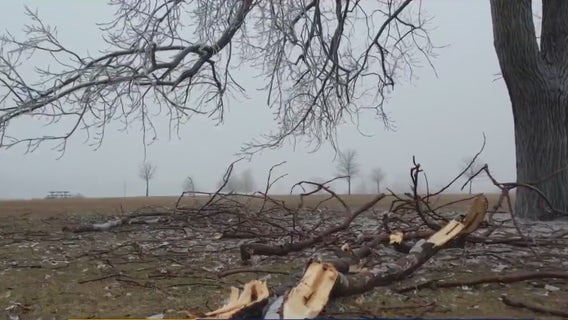 DTE assigning crews to 200,000 homes for power restoration - here's what will get fixed first