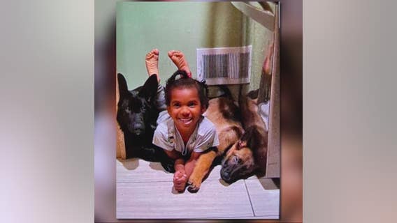 Detroit family's two dogs die from downed wire in backyard