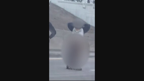 Naked woman with machete on I-96 brings highway to stop, Detroit Police intervene
