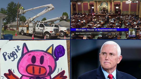 DTE rate hikes during 'peak times' • Chaotic vote approves $180 relief check • Controversial pig picture