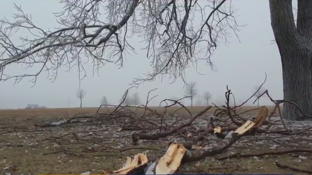 DTE assigning crews to 200,000 homes for power restoration - here's what will get fixed first