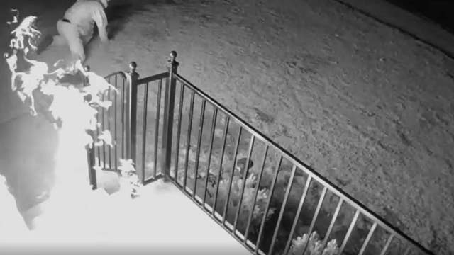 WATCH: Arsonist wanted after pouring gas on Detroit house, setting fire