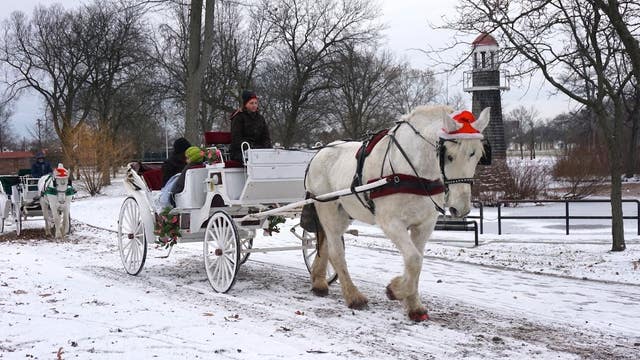 Polar plunge, Duel in the D, Winter Love Fest, and more things to do this weekend in Southeast Michigan