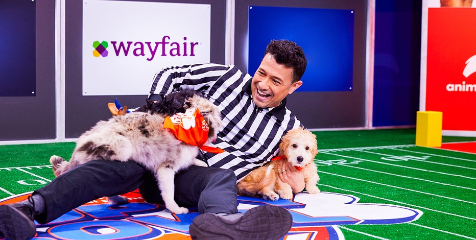 Where to Stream the Super Bowl LVII (2023): Puppy Bowl and Great