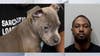 Judge: Detroit man beat emotional support puppy while dog's owner was hospitalized
