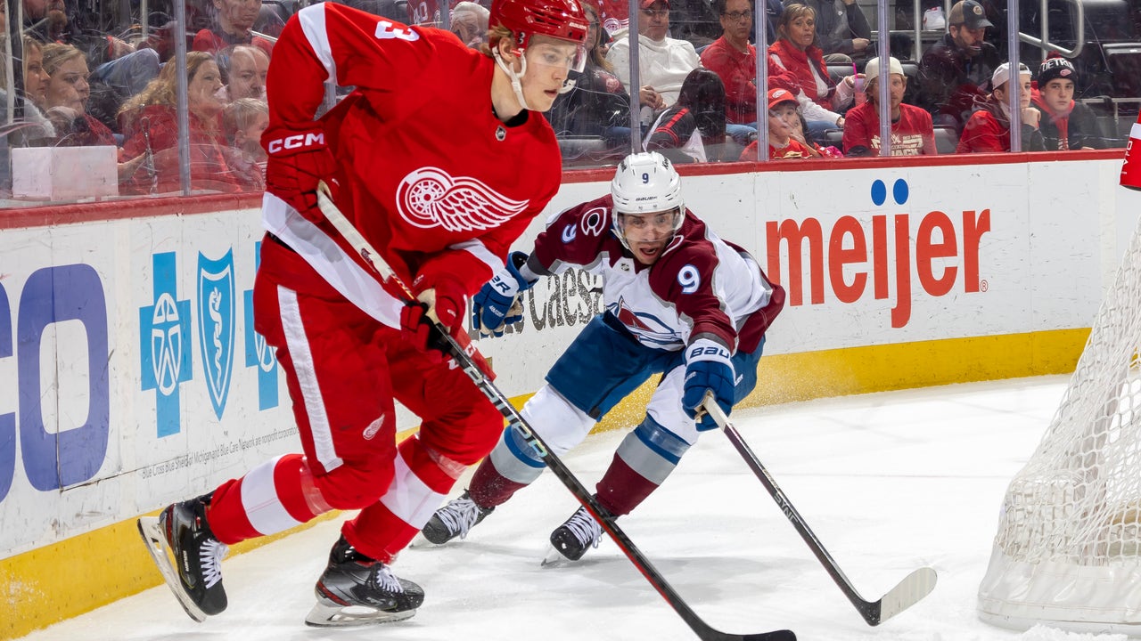 Dylan Larkin scores wild goal, his first as Detroit Red Wings captain