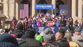 Gun control bills in front of Michigan Senate as Democrats rally support