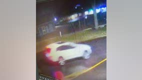 Driver wanted after crashing into Shelby Township business
