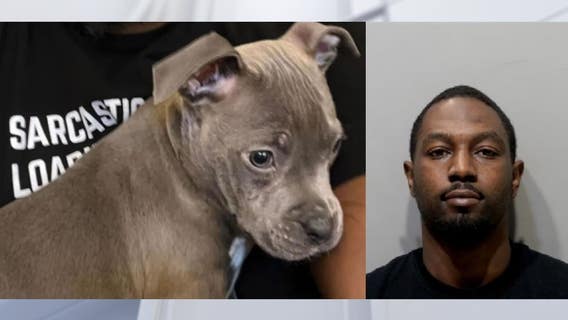 Judge: Detroit man beat emotional support puppy while dog's owner was hospitalized