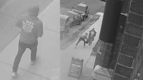 Suspect snatches woman's purse as she walks in Detroit