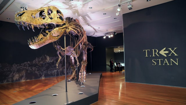 T. rex may not have had ferocious, sharp teeth after all, new study says