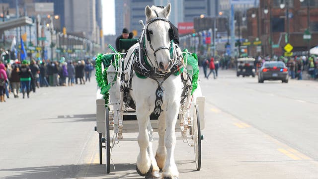 The Detroit St. Patrick's Parade is coming up -- What to know about Corktown tradition