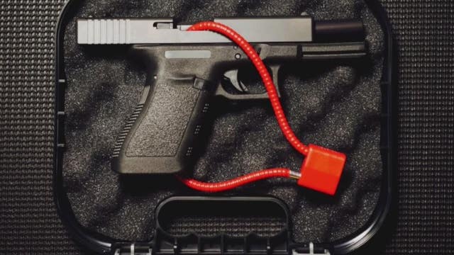 New Michigan gun laws go into effect Feb. 13: Safe storage, 'red flag', and expanded background checks rules