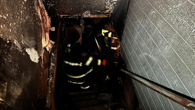 14 puppies and a dog rescued from a burning basement by Eastpointe firefighters