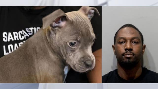 Judge: Detroit man beat emotional support puppy while dog's owner was hospitalized