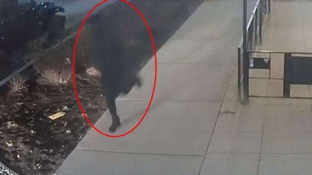 Detroit police searching for suspect after fatal shooting in Midtown