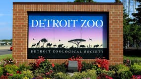 Detroit Zoo after hours: Sip drinks and see the animals during adult-only nights