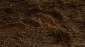 Man accused of filling Detroit demo sites with contaminated dirt, billing city for $1+ million