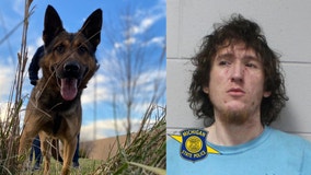 K-9 finds northern Michigan car theft suspect hiding under sheets in woods