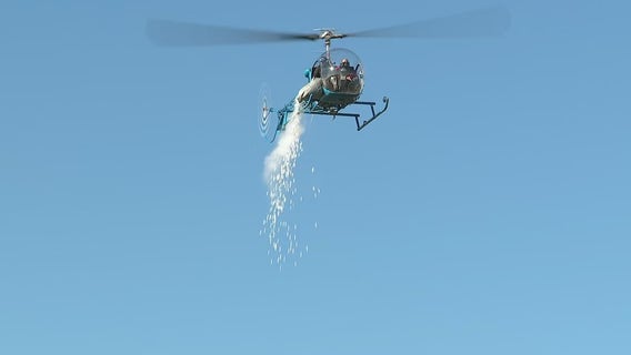 Marshmallow Drop returns to Trenton on Good Friday